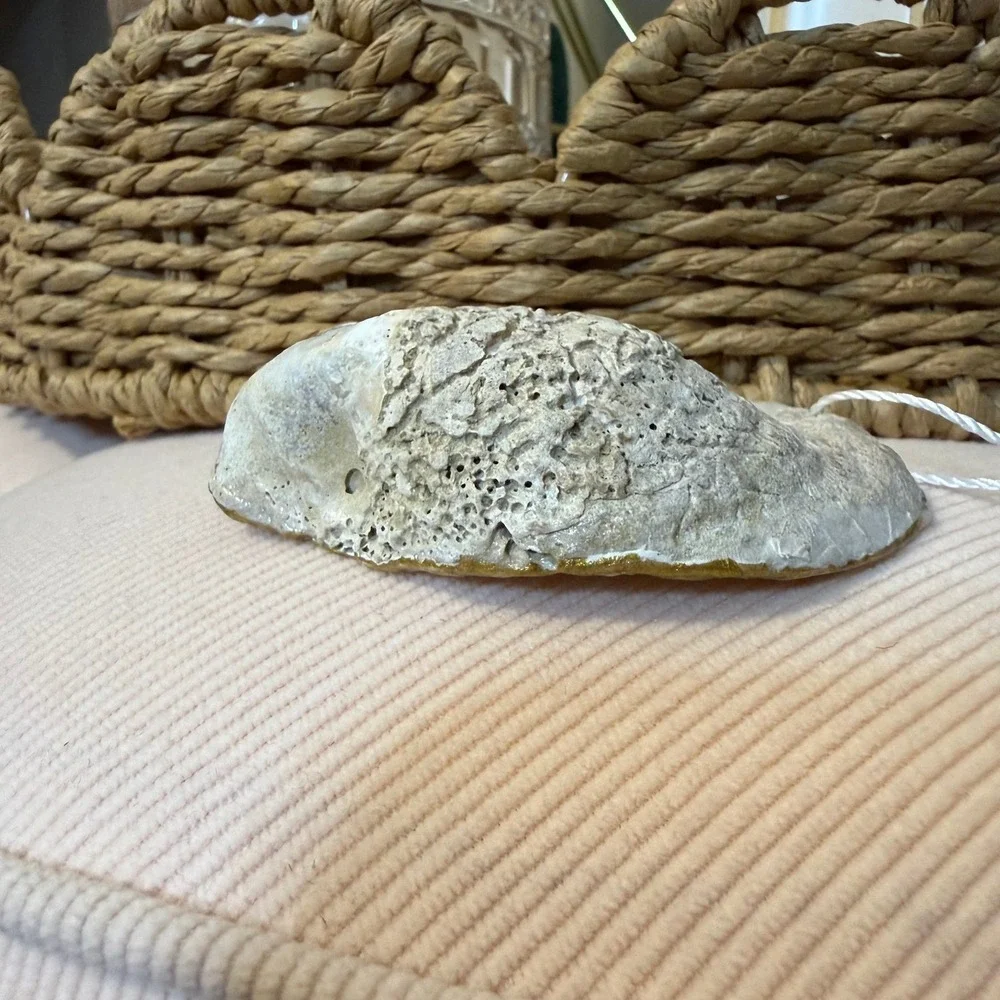 Handmade Decoupage Oyster Shell Ornament Swan Heart Gold Trim Coastal Decor‎ 3